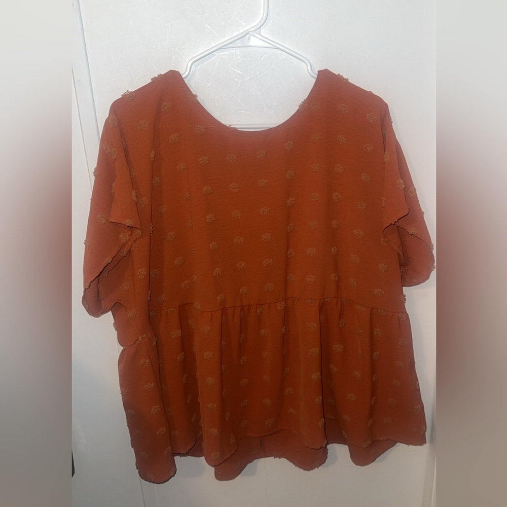 Chic Rust Blouse for Women